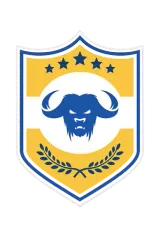 Vaqueritos FC logo